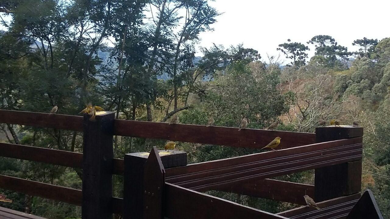 Chales De Analuz Visconde de Mauá Exterior foto